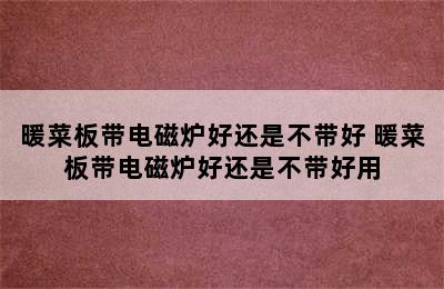 暖菜板带电磁炉好还是不带好 暖菜板带电磁炉好还是不带好用